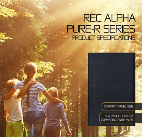 REC ALPHA 1731005474613
